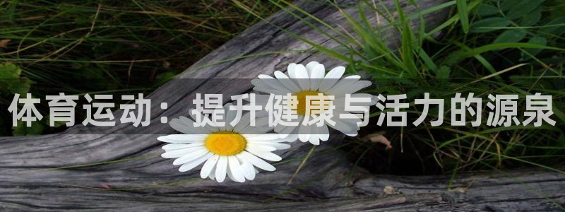 体育运动：提升健康与活力的源泉