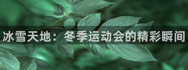 冰雪天地：冬季运动会的精彩瞬间