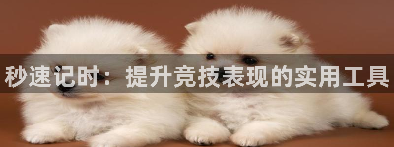 秒速记时：提升竞技表现的实用工具