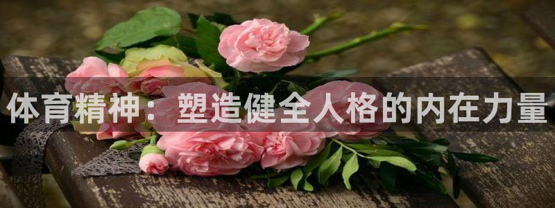 体育精神：塑造健全人格的内在力量