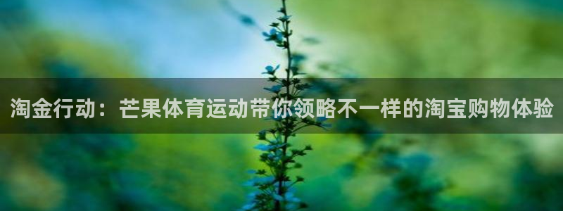 淘金行动：芒果体育运动带你领略不一样的淘宝购物体验