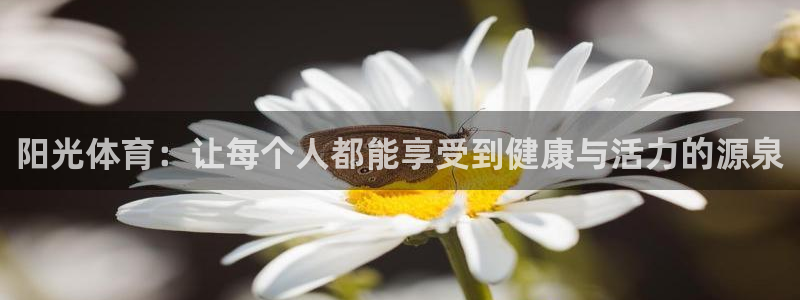 阳光体育：让每个人都能享受到健康与活力的源泉