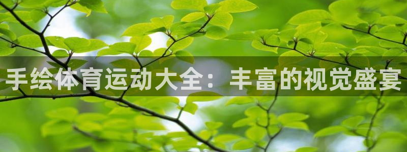 手绘体育运动大全：丰富的视觉盛宴
