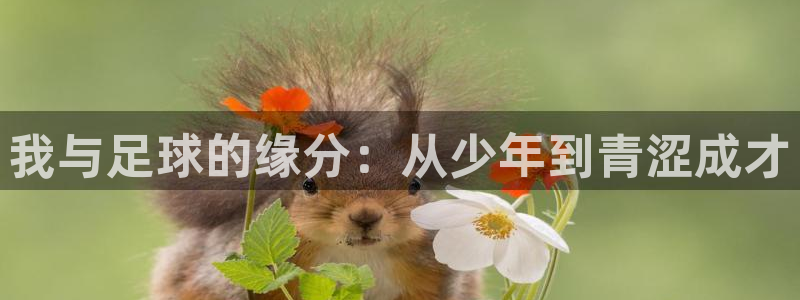 我与足球的缘分：从少年到青涩成才
