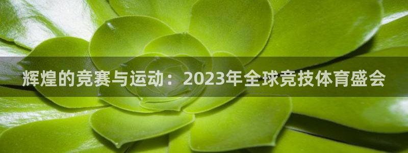 辉煌的竞赛与运动：2023年全球竞技体育盛会
