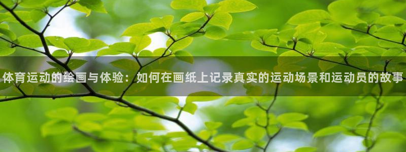 体育运动的绘画与体验：如何在画纸上记录真实的运动场景和运动员的故事