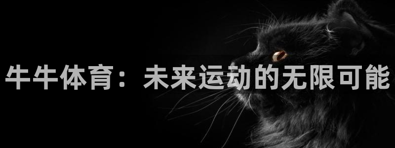 牛牛体育：未来运动的无限可能
